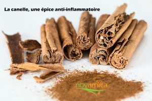 cannelle-epice-anti-inflammatoire